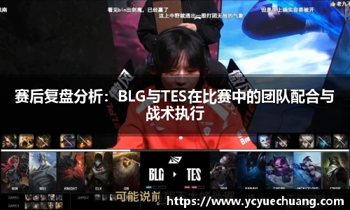 赛后复盘分析：BLG与TES在比赛中的团队配合与战术执行